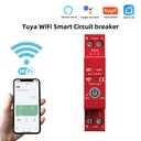 Tuya Wifi Intelligent Circuit Breaker 63A Metering Automatic Reclosing Switch Timer APP Control