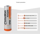 Camelion Flying Lion KTV Microphone NiMH Rechargeable Battery No. 5 AA 2700 mAh
