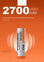 Camelion Flying Lion KTV Microphone NiMH Rechargeable Battery No. 5 AA 2700 mAh