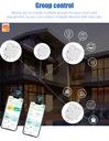 16A Tuya Smart life wifi metering universal socket smart plug mobile phone remote voice control