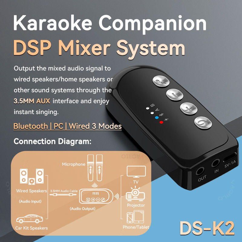 DS-K2 Karaoke Companion Bluetooth Wireless Moving-Coil Microphone With RGB Light KTV DSP Mixer System