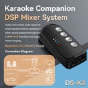 DS-K2 Karaoke Companion Bluetooth Wireless Moving-Coil Microphone With RGB Light KTV DSP Mixer System