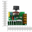 4000W AC 0-220V SCR Electric Voltage Regulator Motor Speed Controller Dimmers Dimming Speed With Temperature Insurance