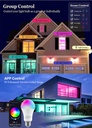Tuya Bluetooth Smart LED Bulb Magic Lamp Colourful RGB RGBW RGBWW 9W E27 LED Lamp