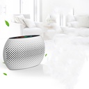 Mini Electric Air Dehumidifier Wardrobe Room Closet Dryer Cleaner Moisture Dampness Remover