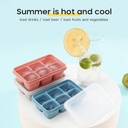 6 Grid Food Grade Ice Cube Maker Mold With Lid (3 pcs)
