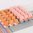15 Grid Egg Storage Box Plastic Refrigerator Storage Egg Container Boxes Eggs Shelf Case Organizer