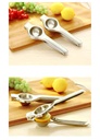 Stainless steel manual fruit juicer