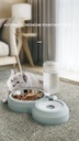 500ML Cat Waterer Pet Dog Cat Automatic Feeding Bowl Dog Feeder Water Storage Pet Dog Cat Food Bowl with Waterer