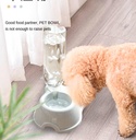 Pet Double Bowls Dog Cat Automatic Feeder with Water Fountain Food Container