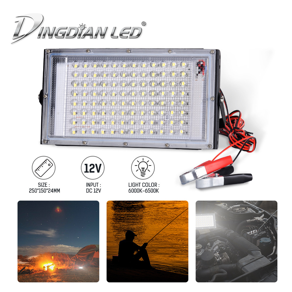 12V LED low voltage floodlight outdoor waterproof 50W 100W with battery alligator clip