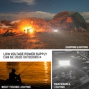 12V LED low voltage floodlight outdoor waterproof 50W 100W with battery alligator clip