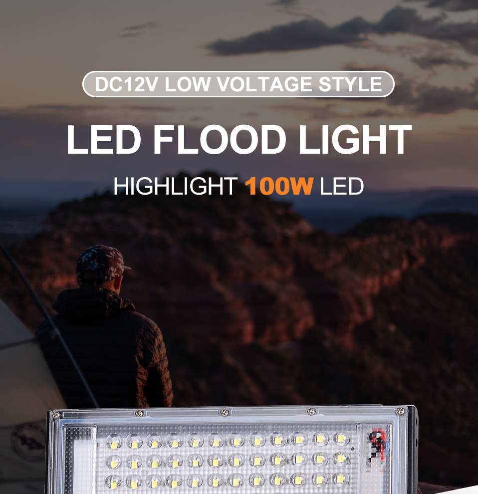 12V LED low voltage floodlight outdoor waterproof 50W 100W with battery alligator clip