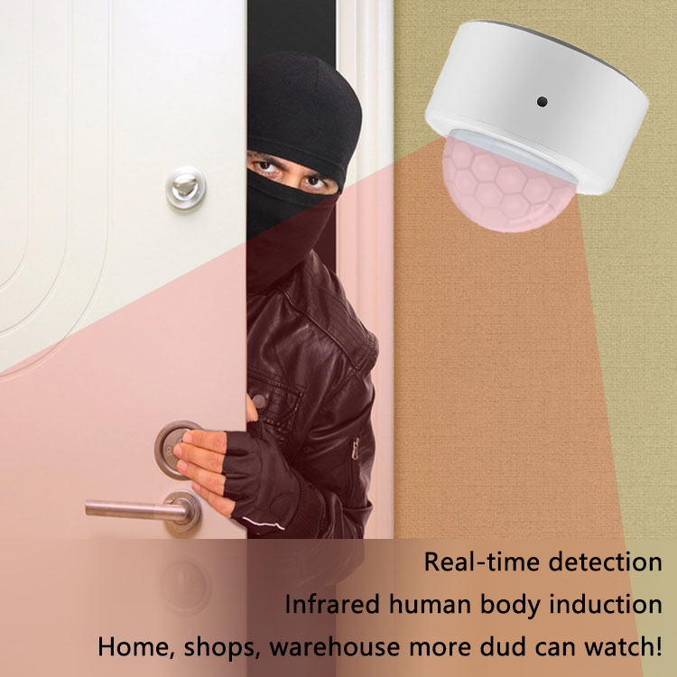 Tuya Zigbee wifi Human Motion Sensor Alarm