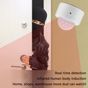 Tuya Zigbee wifi Human Motion Sensor Alarm