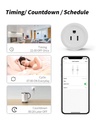Tuya Smart life wifi metering socket smart plug mobile phone remote voice control (ESS Gadgets)