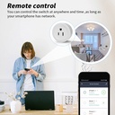 Tuya Smart life wifi metering socket smart plug mobile phone remote voice control (ESS Gadgets)