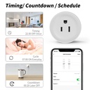 Tuya Smart life wifi metering socket smart plug mobile phone remote voice control (ESS Gadgets)