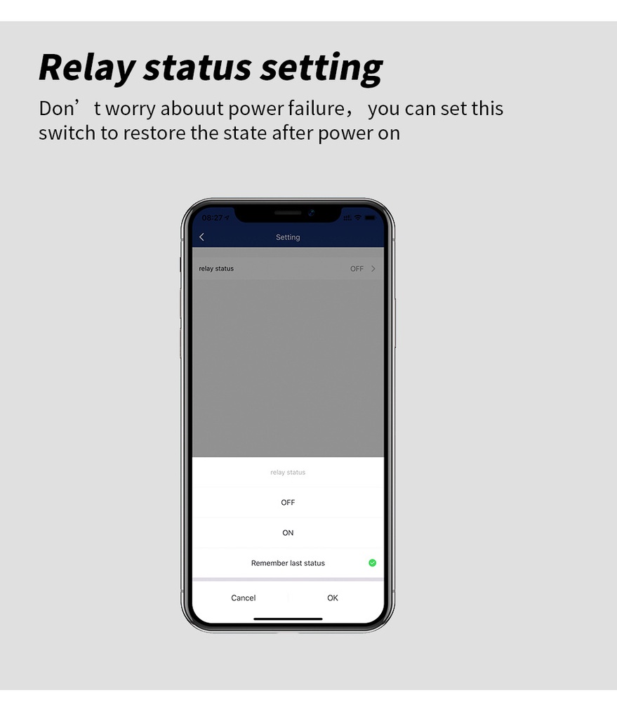 Tuya Smart life wifi metering socket smart plug mobile phone remote voice control (ESS Gadgets)