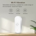 Smart Vibration Sensor Detection Tuya Smart Life APP Notification Real-Time Motion Shock Alarm