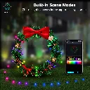 LED_String_Light_10_English_1200.webp