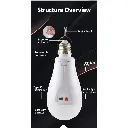 ESS_Bulb_03.webp