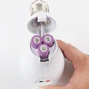ESS_Bulb_02.webp