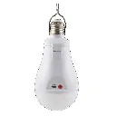 ESS_Bulb_01.webp