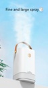3.3L Dual Nozzle Mist Maker Essential Oil Aromatherapy Diffuser Colorful LED Light Ultrasonic Humidifier USB Fogger Air Purifier