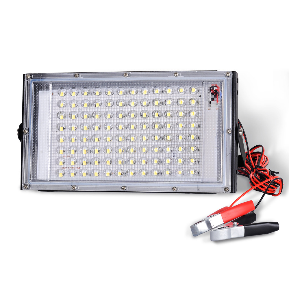 12V LED low voltage floodlight outdoor waterproof 50W 100W with battery alligator clip