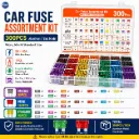 Automotive BladeFuse Assortment Kit 300Pcs Car Truck Fuses 2A-40A Amp With Fuse Puller Auto Circuit Replacement Repair Accessory