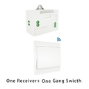 220V 10A Controller with Fuse,Self-Powered Wall Switch 433Mhz RF Wireless Kinetic Light Switch